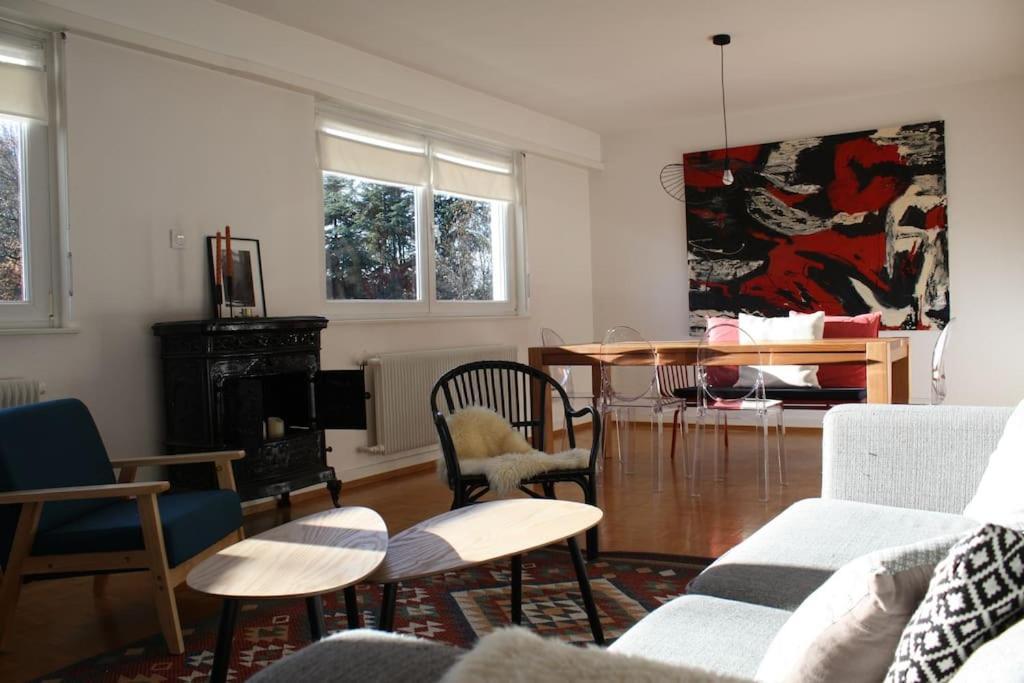 Superb Apt- Garden- 3 Parkings, Near Petite Venise ! Colmar Ngoại thất bức ảnh