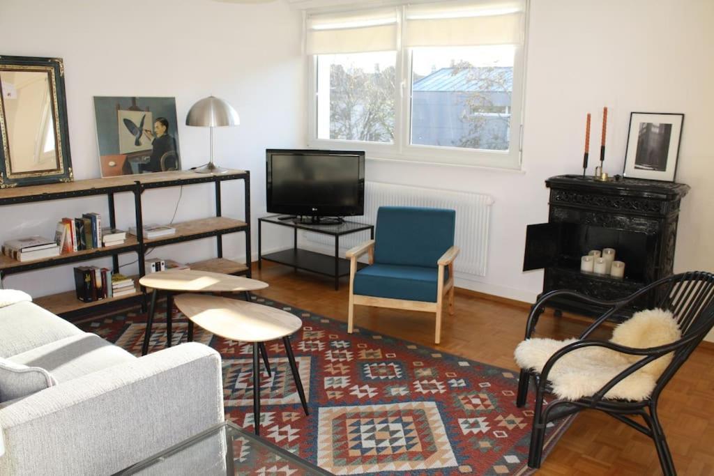 Superb Apt- Garden- 3 Parkings, Near Petite Venise ! Colmar Ngoại thất bức ảnh