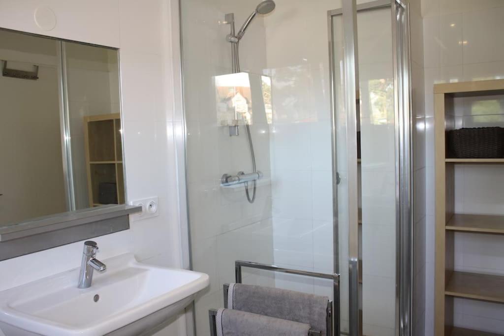 Superb Apt- Garden- 3 Parkings, Near Petite Venise ! Colmar Ngoại thất bức ảnh