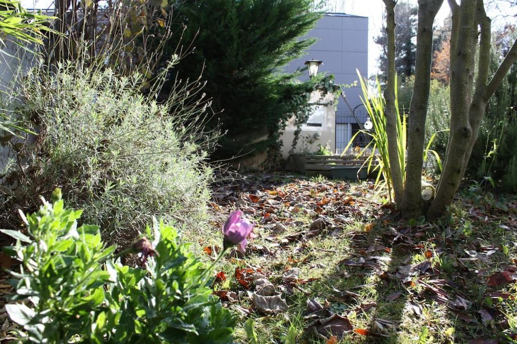 Superb Apt- Garden- 3 Parkings, Near Petite Venise ! Colmar Ngoại thất bức ảnh