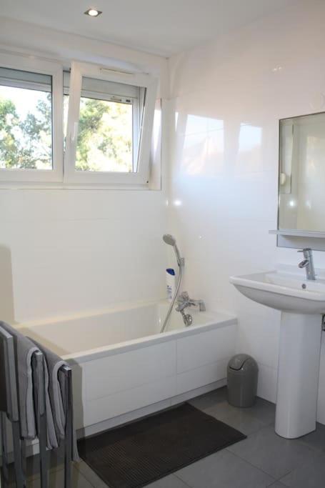Superb Apt- Garden- 3 Parkings, Near Petite Venise ! Colmar Ngoại thất bức ảnh