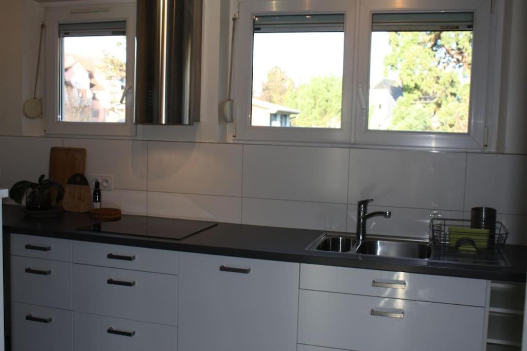 Superb Apt- Garden- 3 Parkings, Near Petite Venise ! Colmar Ngoại thất bức ảnh