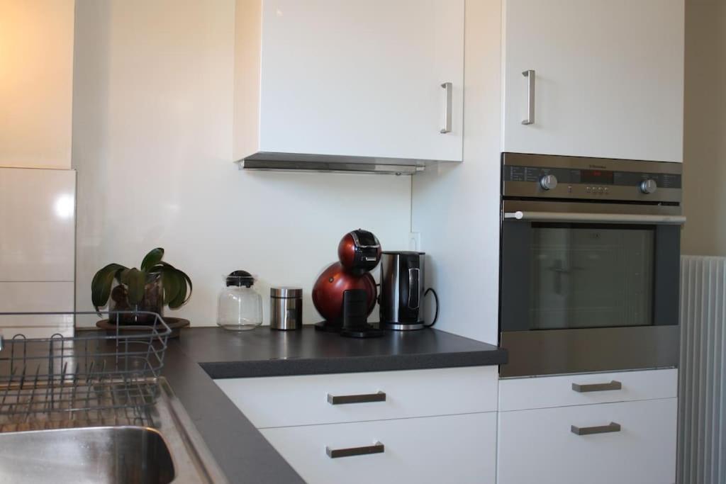 Superb Apt- Garden- 3 Parkings, Near Petite Venise ! Colmar Ngoại thất bức ảnh
