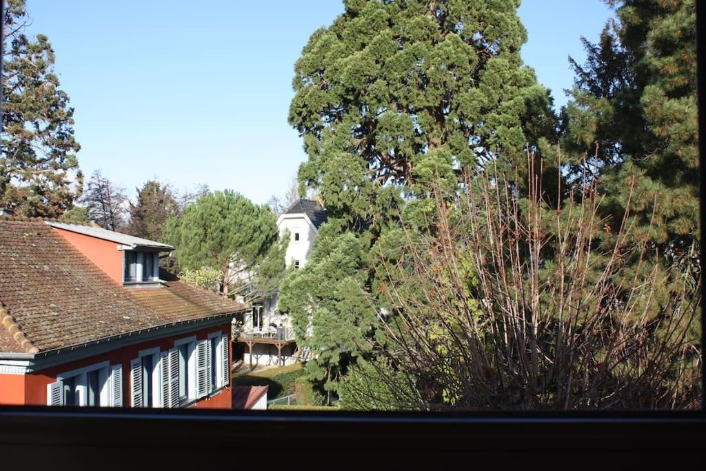 Superb Apt- Garden- 3 Parkings, Near Petite Venise ! Colmar Ngoại thất bức ảnh
