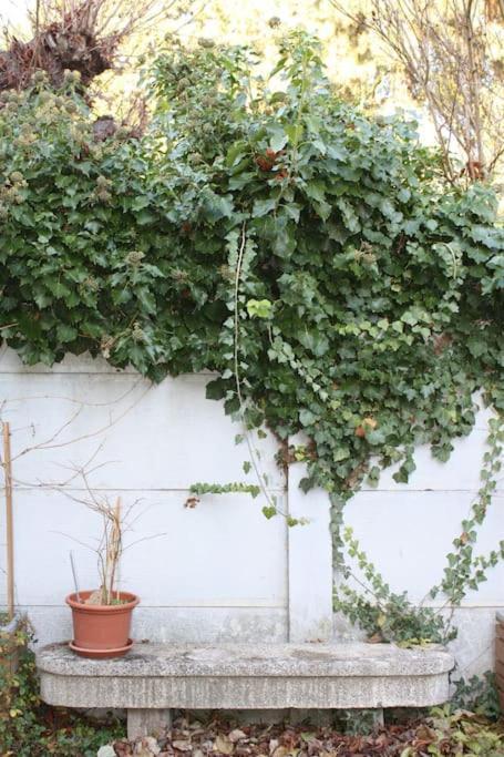 Superb Apt- Garden- 3 Parkings, Near Petite Venise ! Colmar Ngoại thất bức ảnh