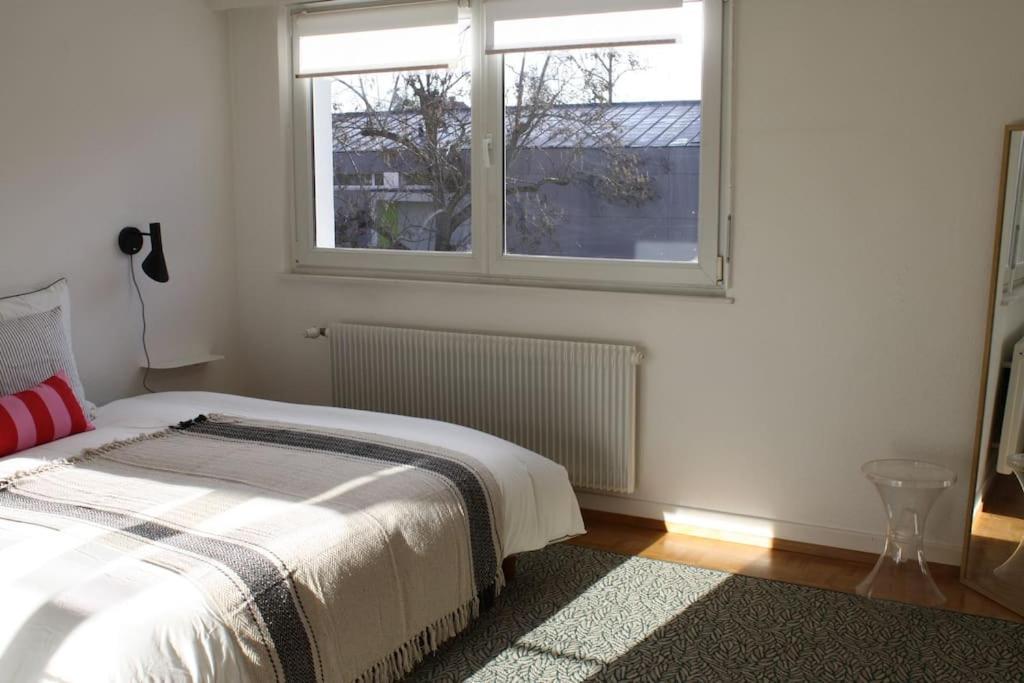 Superb Apt- Garden- 3 Parkings, Near Petite Venise ! Colmar Ngoại thất bức ảnh